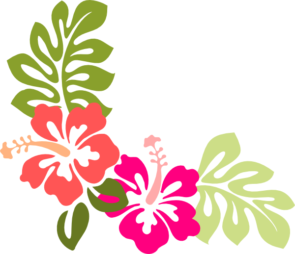 Vector Hibiscus (600x518), Png Download