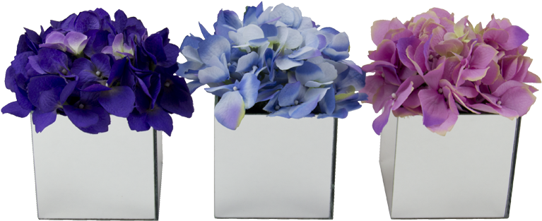 Blog Achados De Decoração (795x417), Png Download