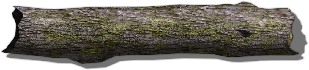 Qegw1 Log 1 (1120x280), Png Download