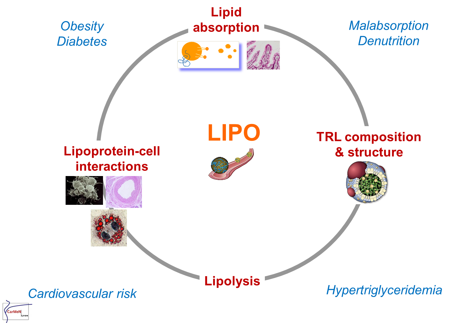 Fig Equipe 4 Ang (1468x1055), Png Download