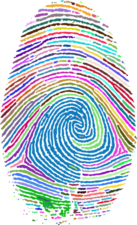 Fingerprint Computer Icons Thumb Fingerabdruckscanner (458x750), Png Download
