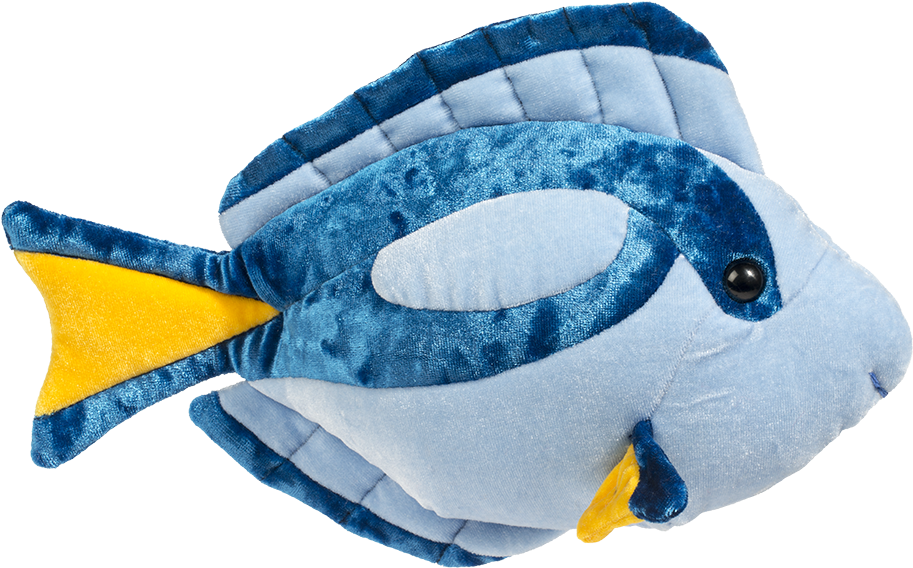 Douglas Blue Tang Fish (1000x1000), Png Download