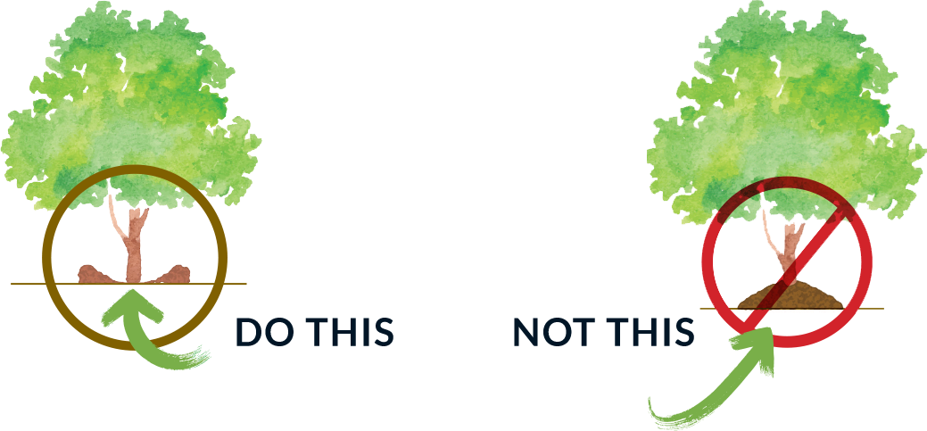 How To Mulch A Tree (1039x483), Png Download