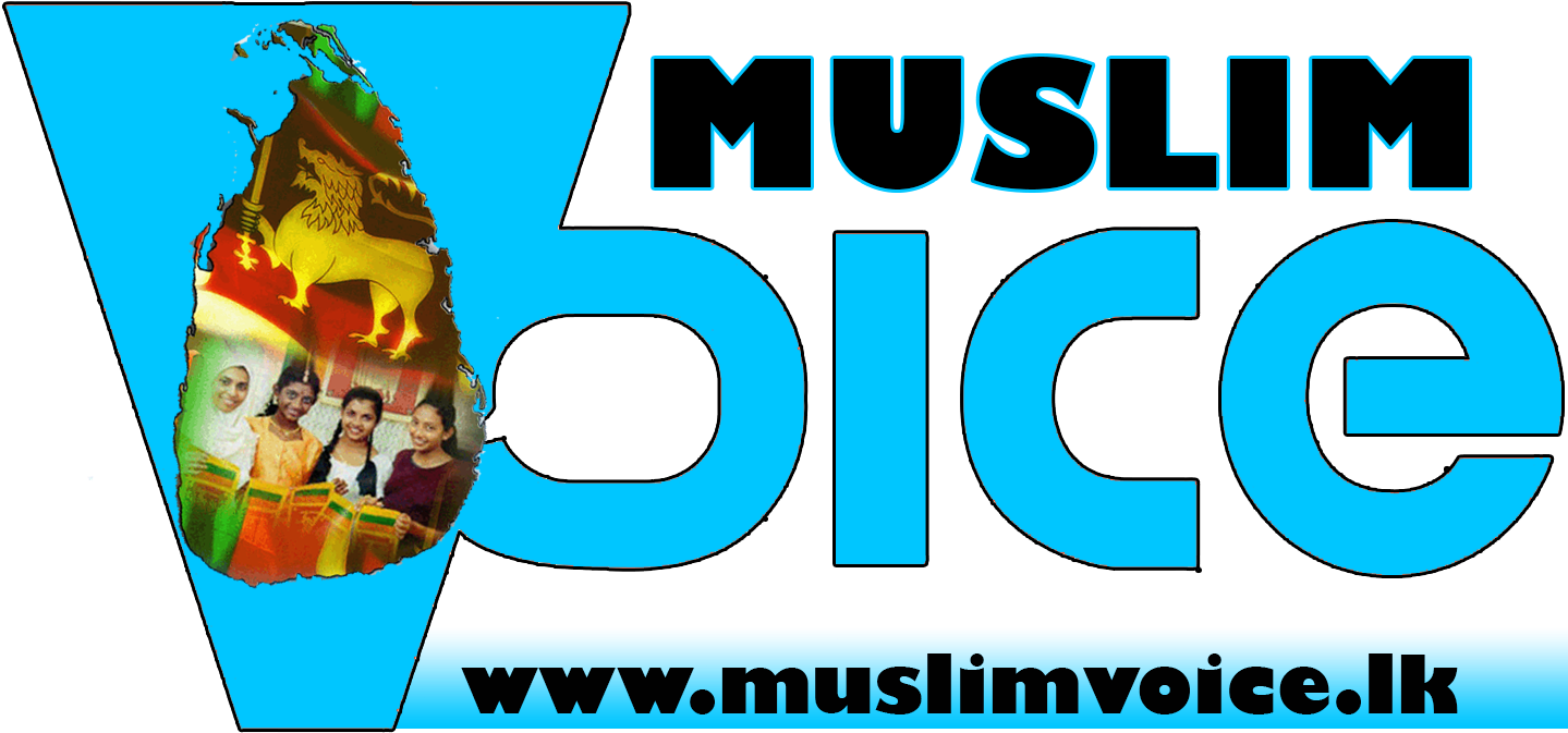 Frozen Yogurt (1439x673), Png Download