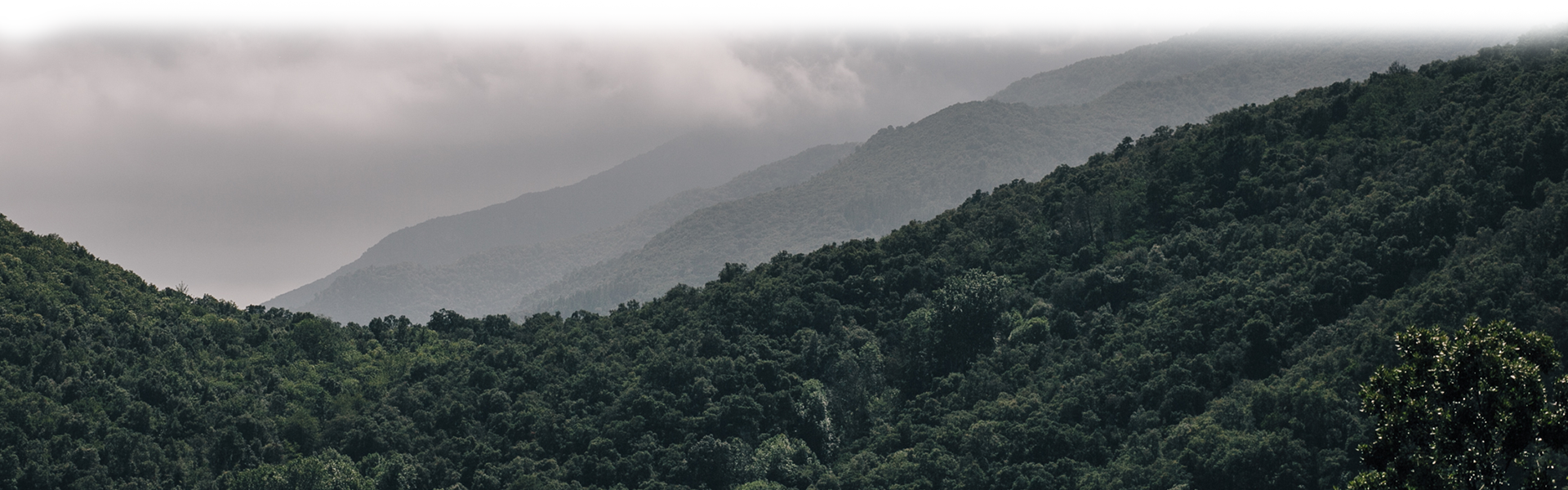 Alex Carro Skincare Is (1920x600), Png Download