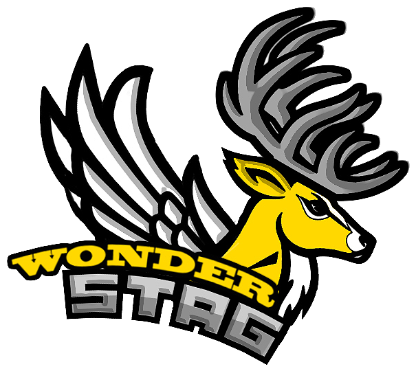 Wse Logo For White Background (640x640), Png Download