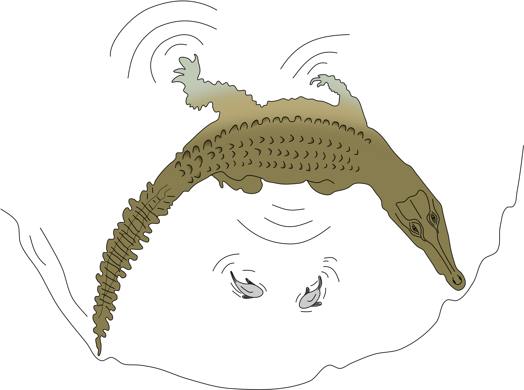 Crocodylus Intermedius Hunting Technique (2000x1556), Png Download