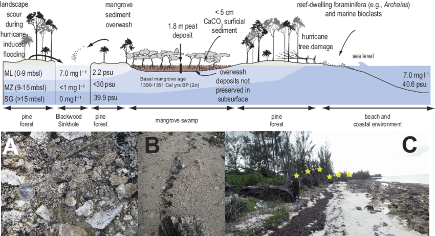 A Conceptual Model Of The Landscape Surrounding Blackwood (850x461), Png Download