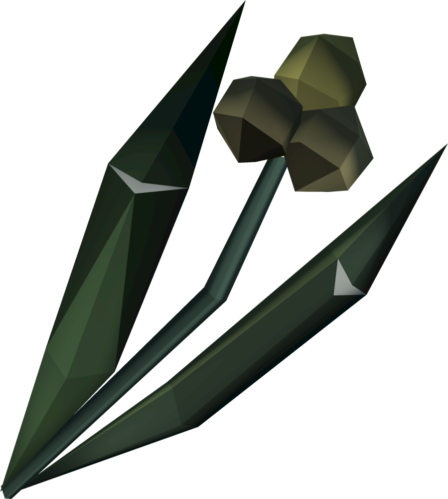 Ectograss Detail (899x1000), Png Download