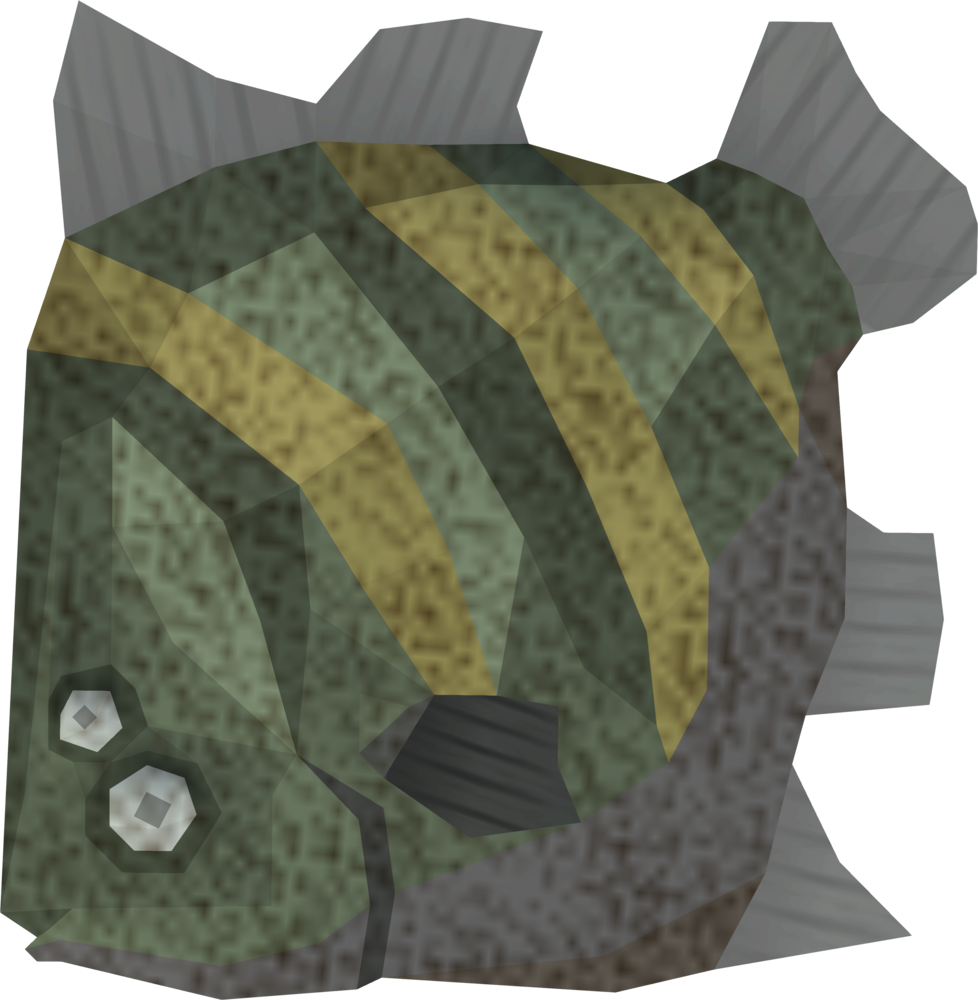 Raw Giant Flatfish Detail (978x1000), Png Download