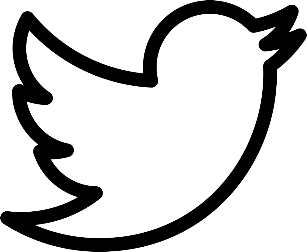 Twitter Logo Outline - Transparent Twitter Logo White (982x806), Png Download