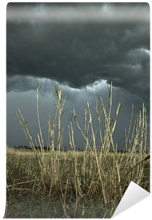Africa Landscape, Dark Cloud, Serengeti National Park, - Diana L. Eck (400x400), Png Download