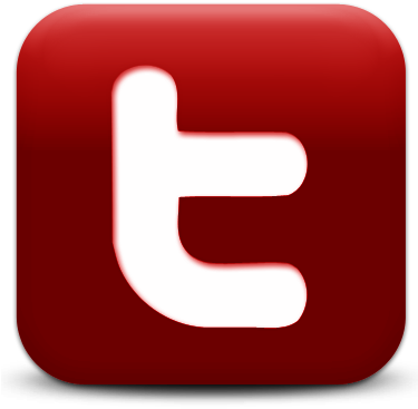 Red Twitter Logo Png - Twitter Logo Png Red (374x377), Png Download