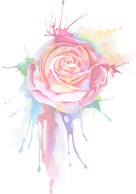 Splash - Rose Painting (561x800), Png Download