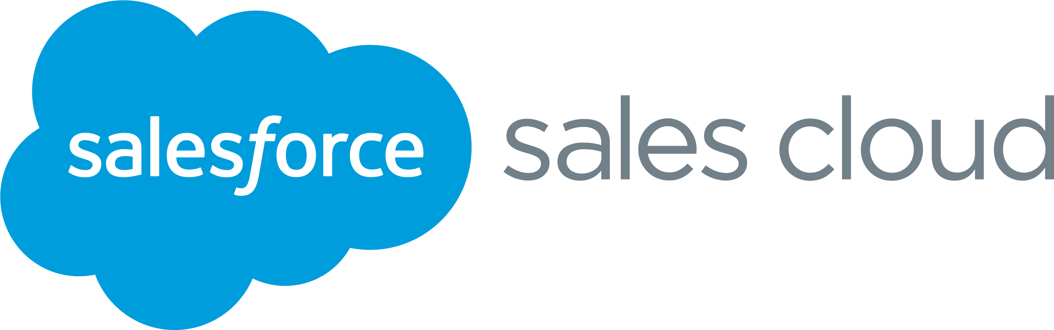 Download Salesforce Sales Cloud Capture Your Lead Data Access 