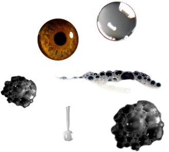 Open Milk - Earrings (436x346), Png Download