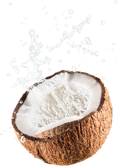 Jax Coco Is 100% Pure Coconut Water, With Absolutely - Cut Coconut Png (413x584), Png Download