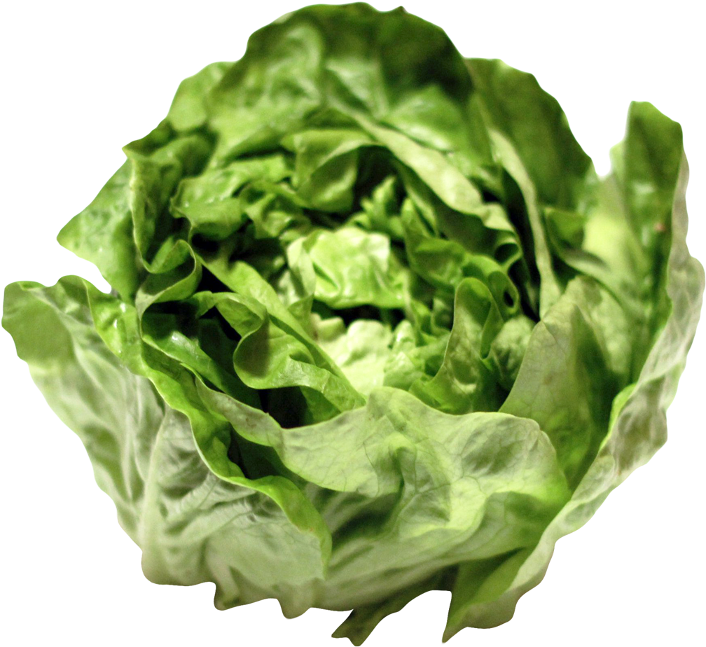 Free Png Lettuce Png Images Transparent - Lettuce Png (850x754), Png Download