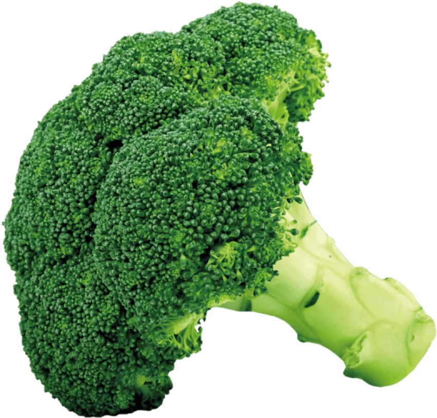 Png Picture Z Lds G Gy M - Green Fruits And Vegetables Clipart (600x576), Png Download