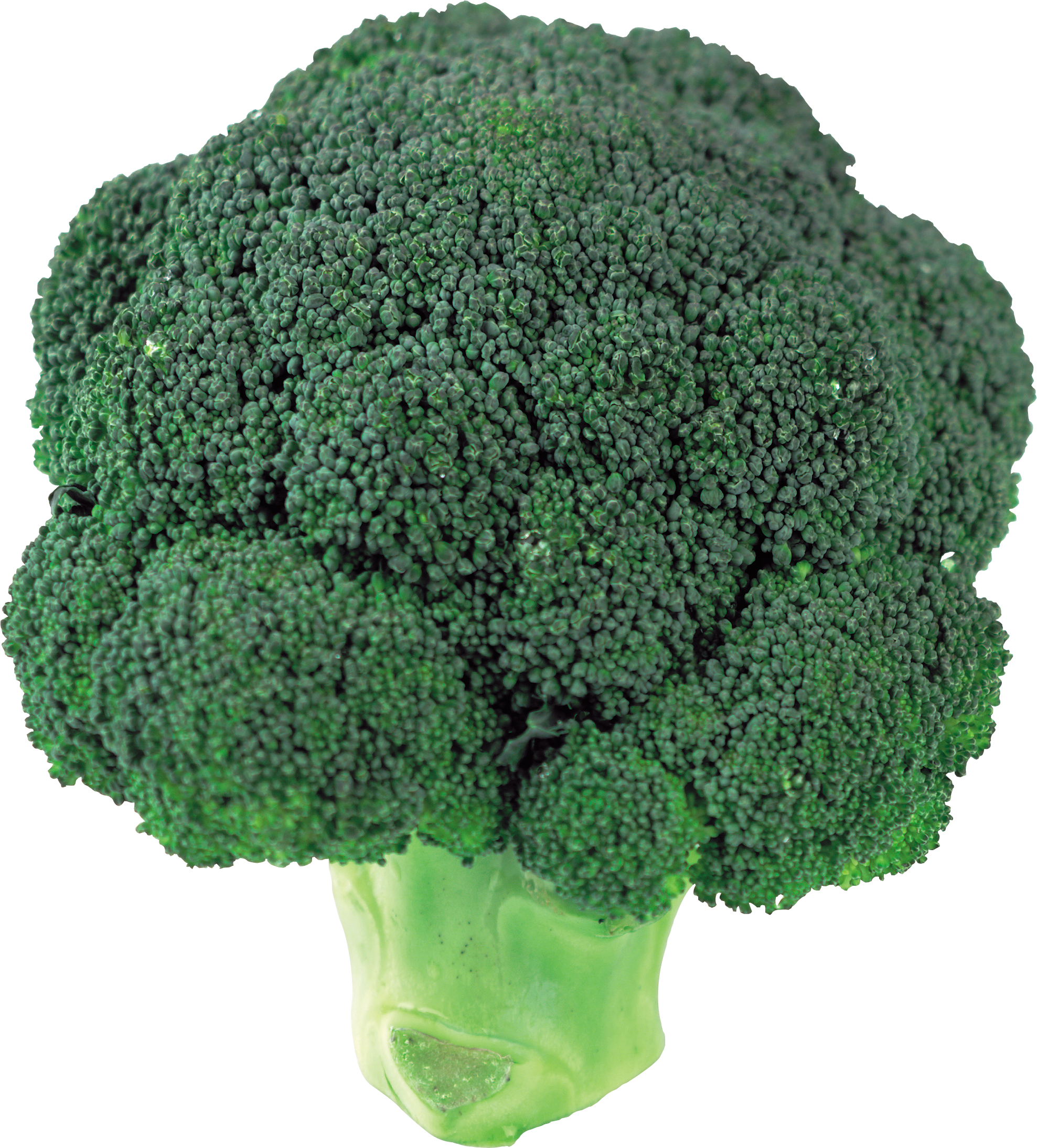 Transparent Broccoli (1977x2189), Png Download