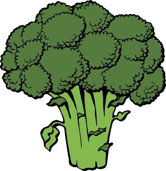 Png Free Stock Vegetable Free Broccoli Clip Art Vector - Clipart Broccoli (582x598), Png Download