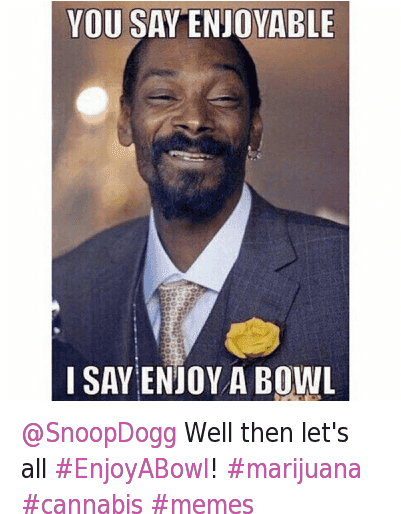 How High, Meme, And Memes - Snoop Dogg Weed Meme (400x533), Png Download