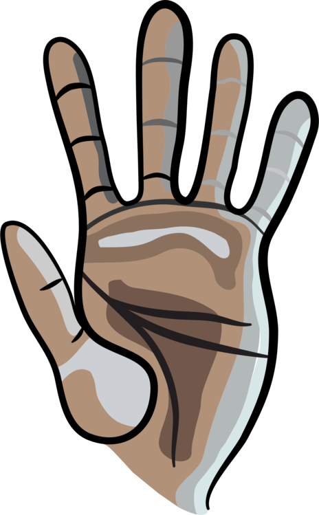 Thumb Drawing The Head And Hands Human Body - Hand (464x749), Png Download