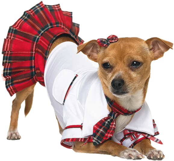 Go To Image - Costumes For Chihuahuas (620x580), Png Download