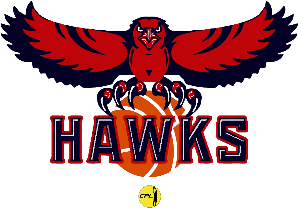 Hawks Logo - Atlanta Hawks Die Cut Color Decal 8in X 8in (1000x1000), Png Download