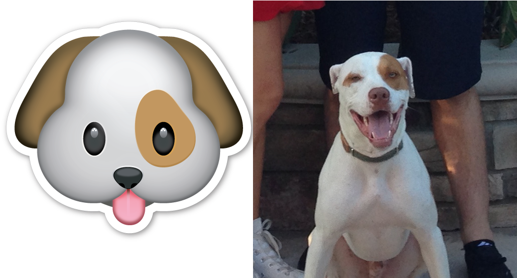 Dog Emoji - Carinha De Cachorro Desenho (1053x557), Png Download