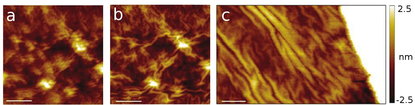 Rippling Of Graphene Induced By Stm Tip - Flame (1660x433), Png Download