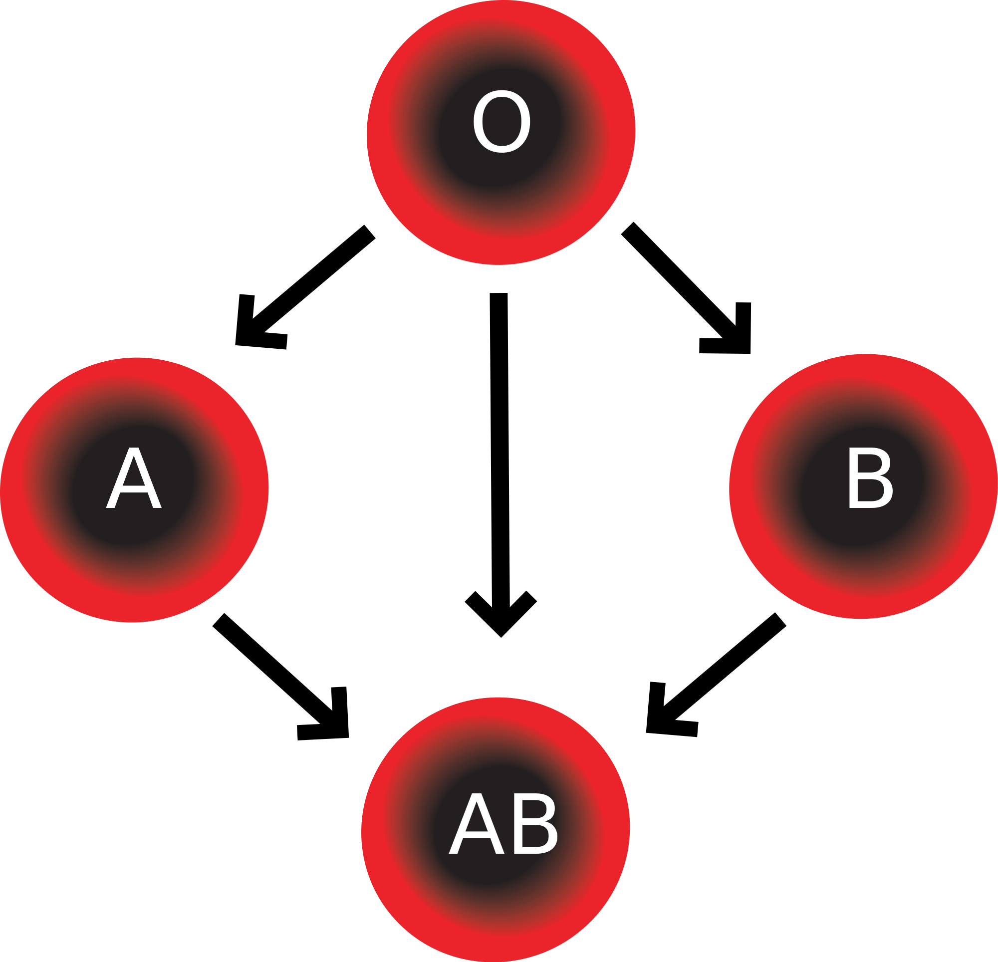 Wikipedia, The Free Encyclopedia - Four Blood Types (2000x1928), Png Download