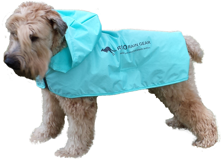 Rain Wear For Dogs - Lakeland Terrier (800x572), Png Download