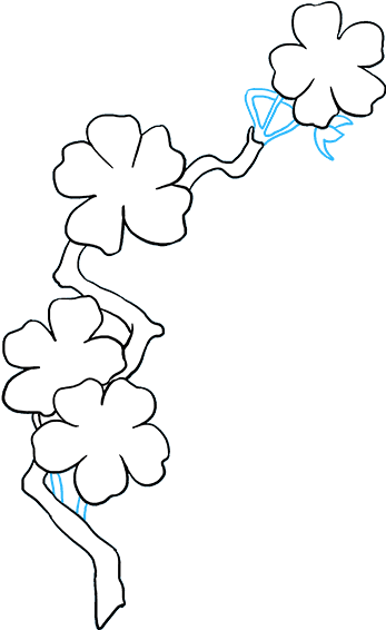 How To Draw Cherry Blossoms - Drawing (680x678), Png Download