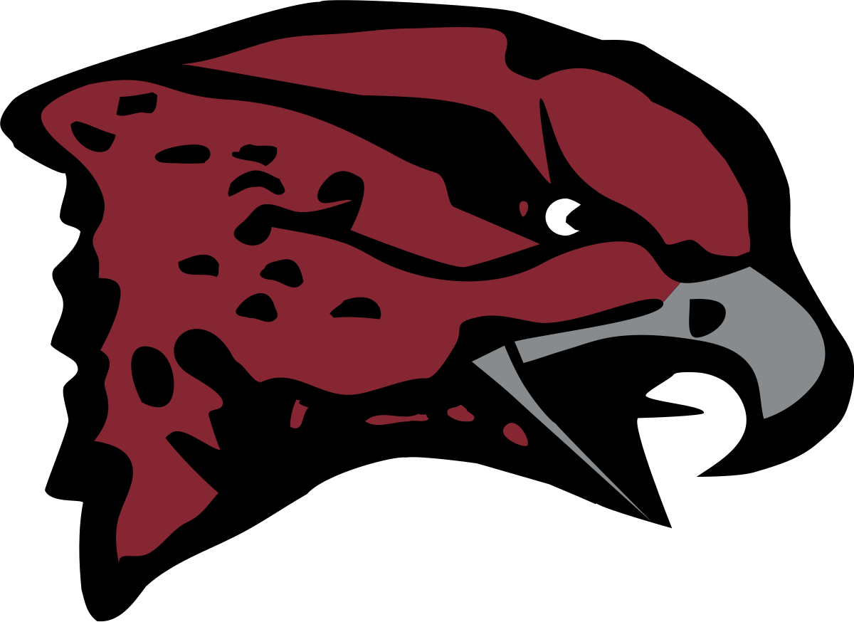 Maryland Eastern Shore Hawks Logo (1200x874), Png Download