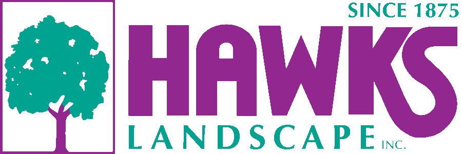 Logo - Hawks Landscape (900x300), Png Download