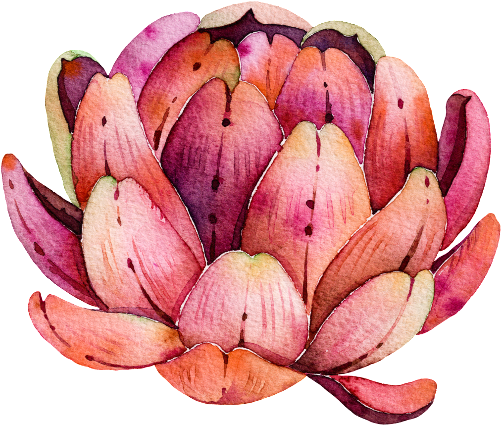 Meat Free Pull Vector - Suculentas Acuarela (1024x873), Png Download