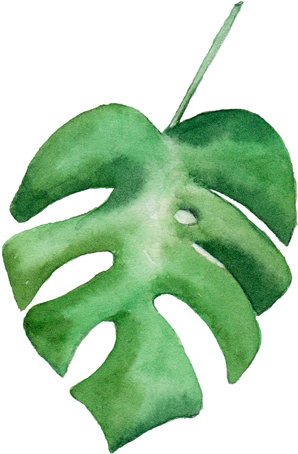 Watercolour - Green Water Color Leaves Png (592x902), Png Download