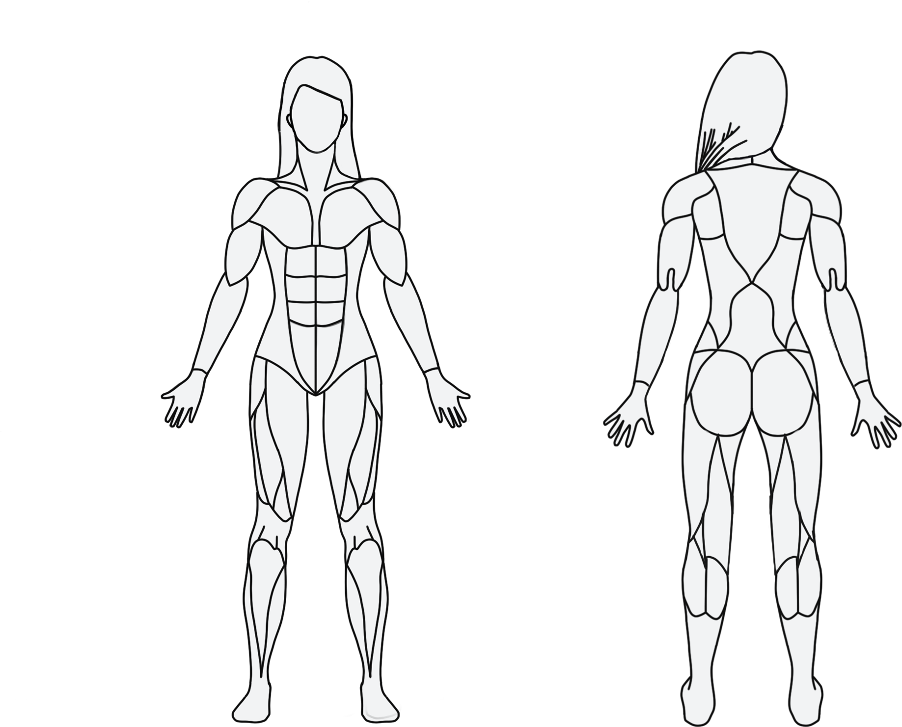 Obesity Drawing Human Figure Model - Muscle (2200x1650), Png Download
