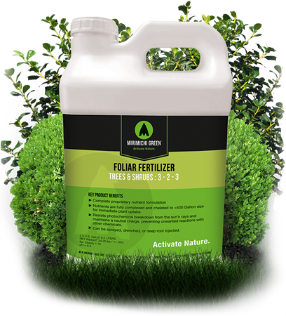 Tree & Shrub - Grass (408x450), Png Download