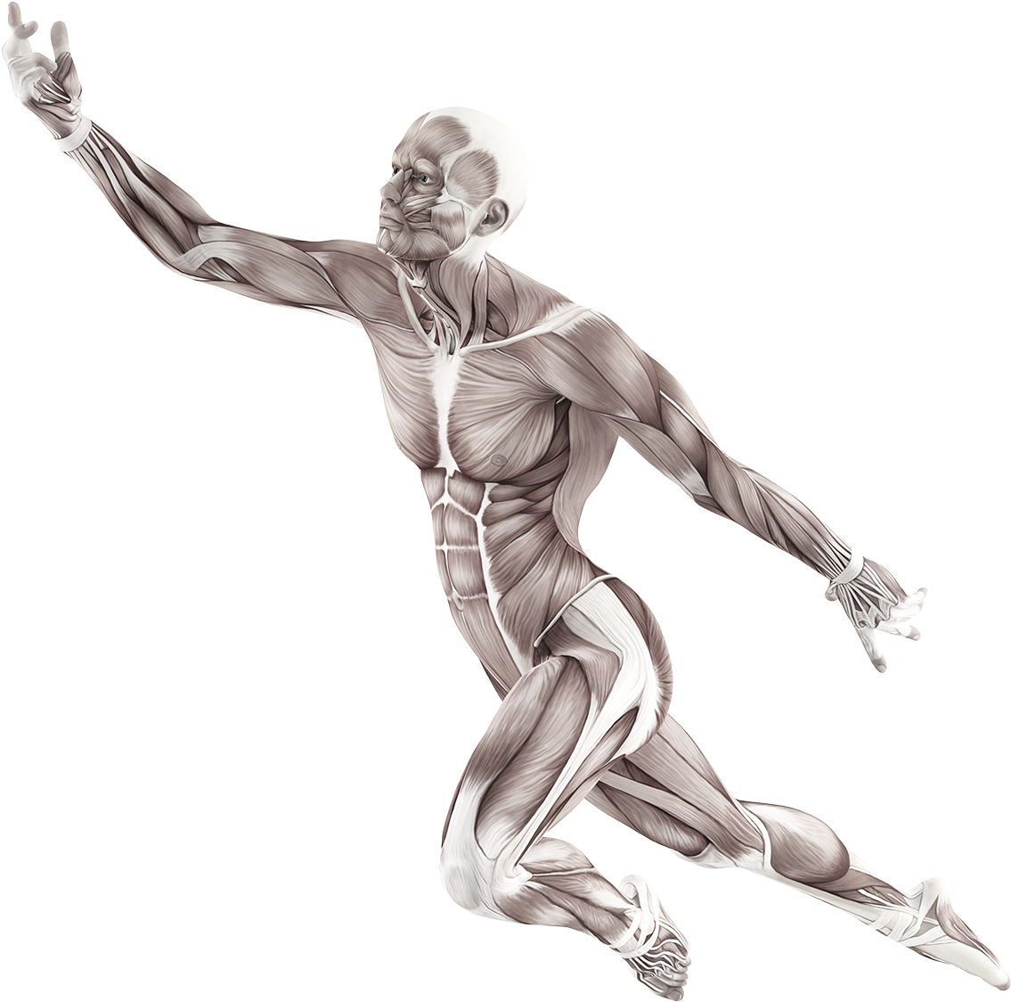 Mat® Masters Courses - Body In Motion Png (1140x1130), Png Download