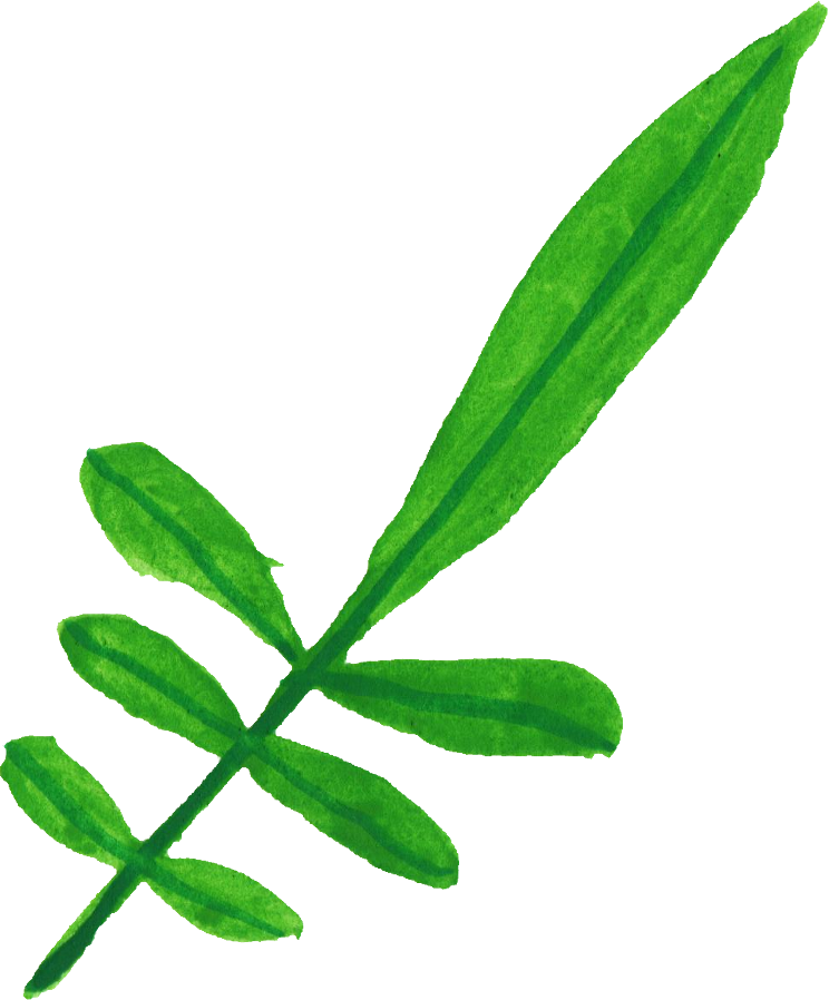 Free Download - Calligraphy (744x898), Png Download