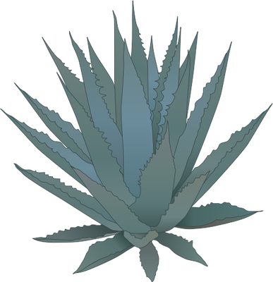 Agave - Agave Vector Png (387x400), Png Download