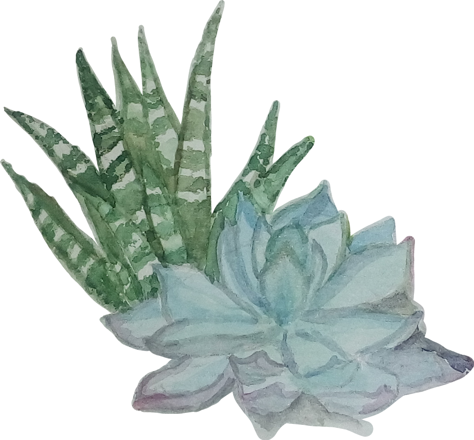 Suculentas Suculents Aquarela Watercolor Catarinazs - Watercolor Painting (939x873), Png Download