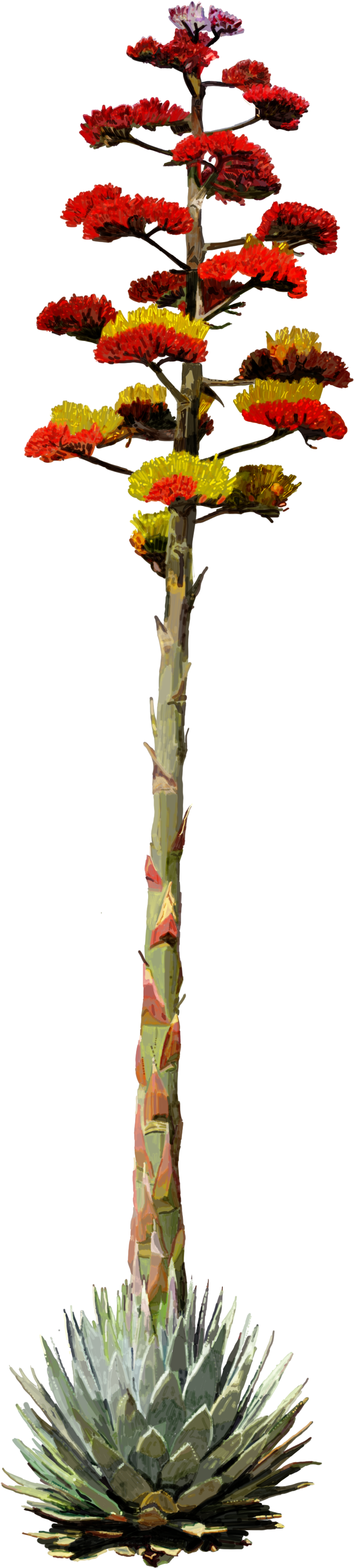 If All Else Fails, You Can Always Make Tequila - Artificial Flower (2400x3600), Png Download