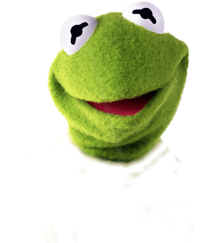 Real Life Kermit The Frog (1024x1024), Png Download