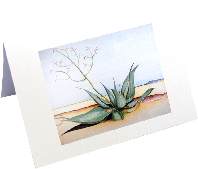 Request A Custom Print - Agave Azul (640x544), Png Download