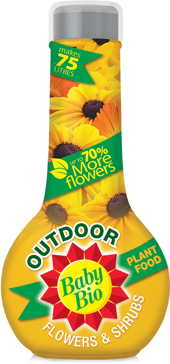 Next - Bayer Baby Bio Outdoor For Flowers & Shrubs 750ml (600x756), Png Download
