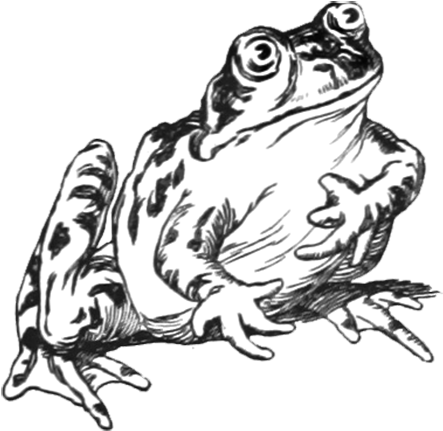 Frog Clip Art - Three Sunsets And Other Poems [book] (462x472), Png Download