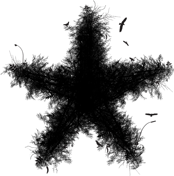 Tree Starr - Tree (600x610), Png Download